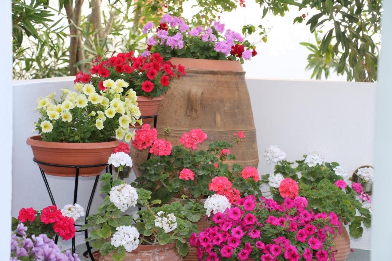Spiros & Hiroko - Adults Only Hotel Perissa (Santorini)