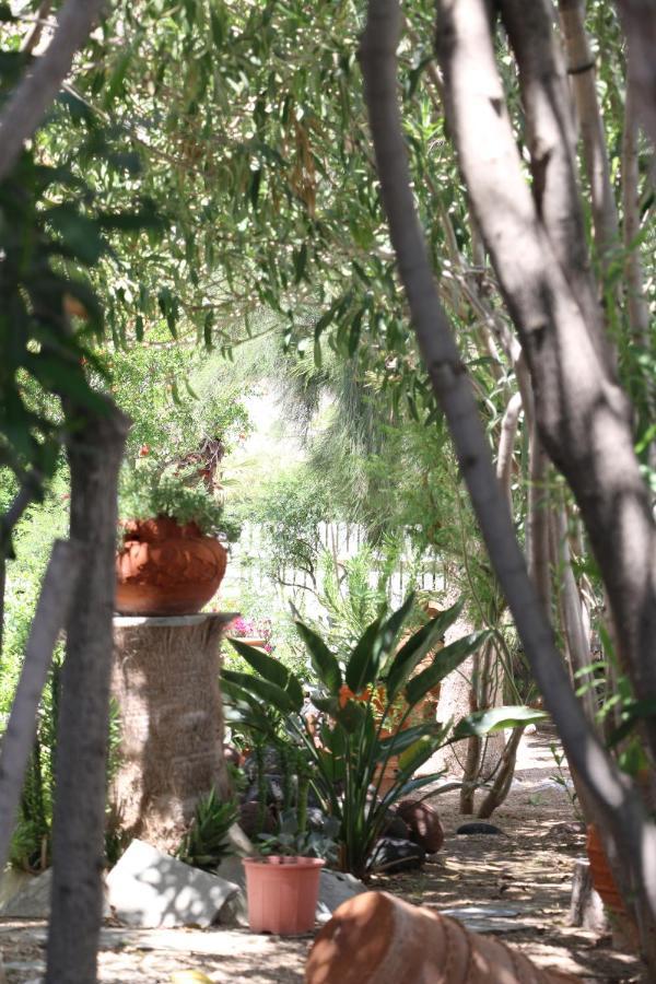 Hotel Spiros & Hiroko - Adults Only