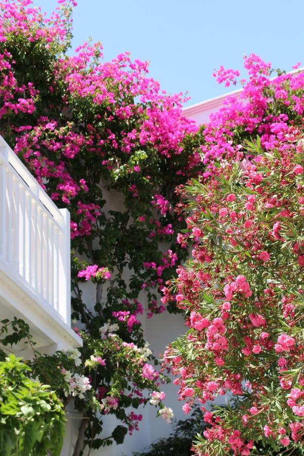 Spiros & Hiroko - Adults Only Hotel