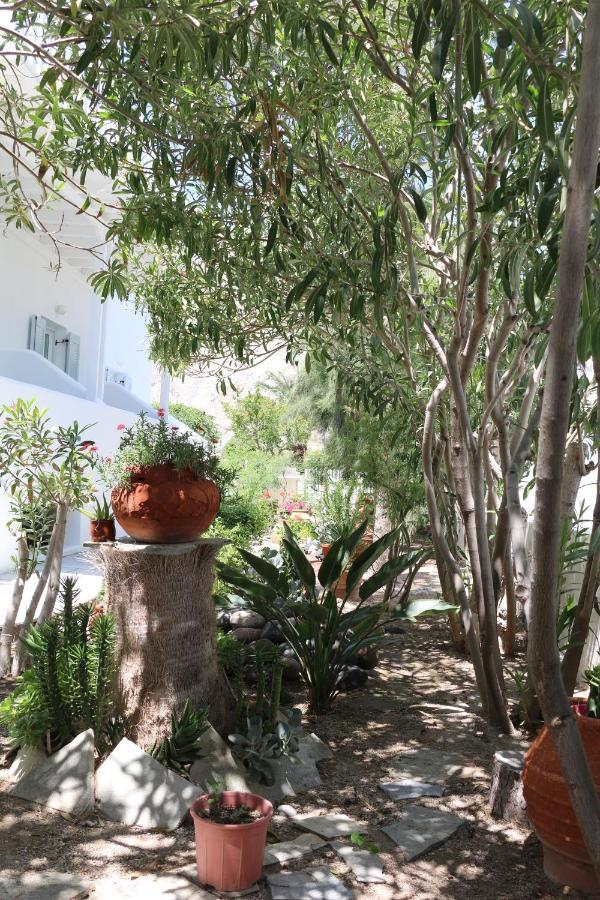 Spiros & Hiroko - Adults Only 2*